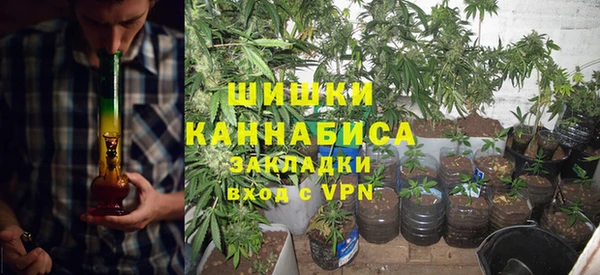 прущие крисы Гусев